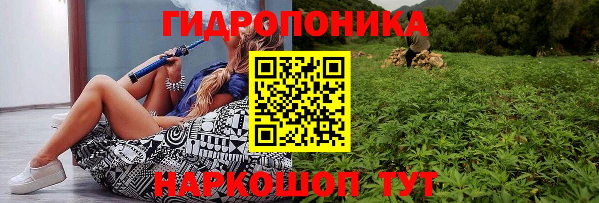 Бошки марихуана THC 21%  Каннабис план  Каннабис план  Ахтубинск  Вход с VPN 